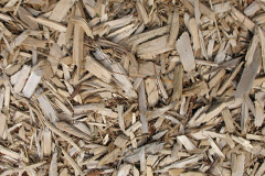 biomass boilers Trenerth
